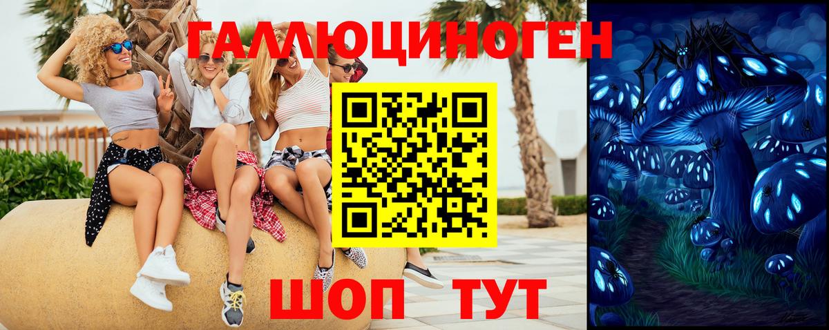 Псилоцибиновые грибы Psilocybine cubensis  Псилоцибиновые грибы Psilocybe  Вход с VPN  Новоалександровск 